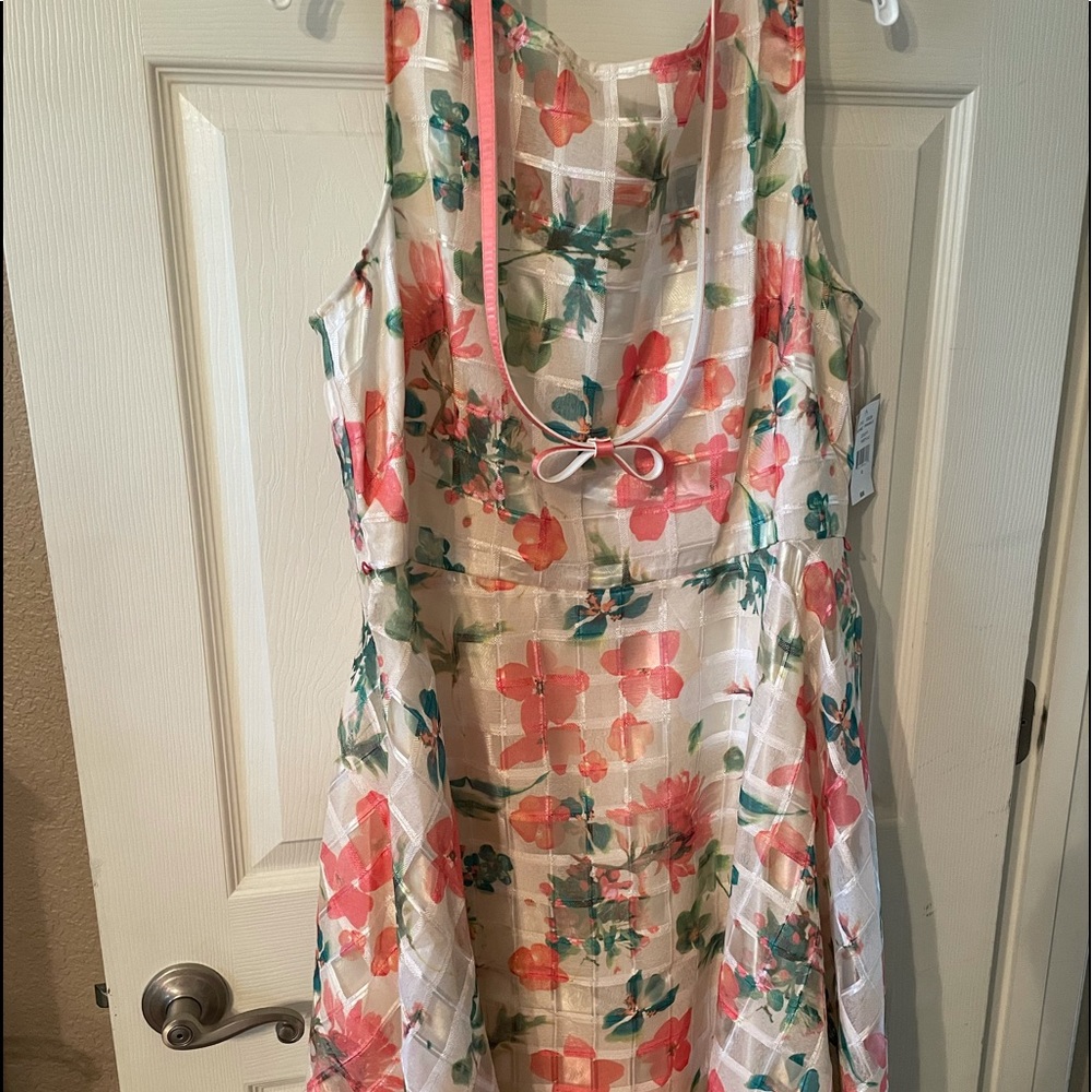 Lovely Spring Dress  NWT